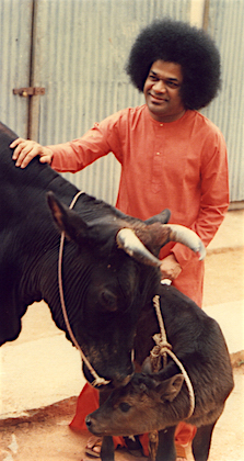 Beloved Bhagawan Sri Sathya Sai Baba